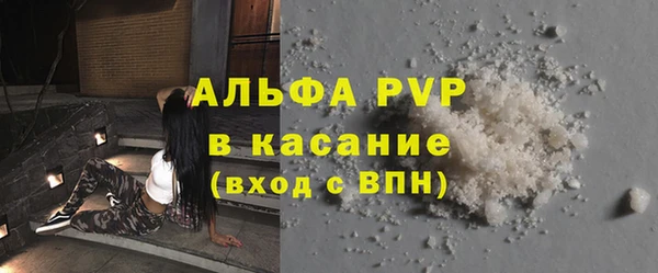 скорость Ельня