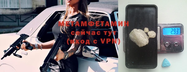 прущие грибы Елабуга
