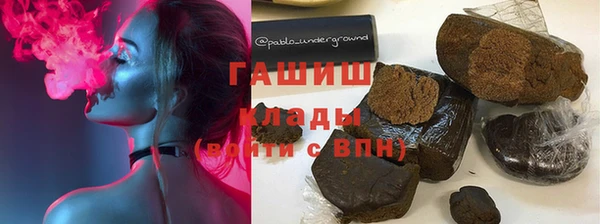прущие грибы Елабуга