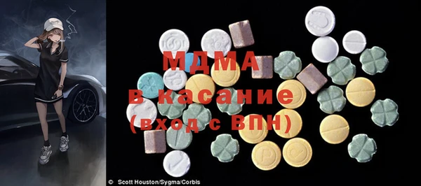 прущие грибы Елабуга