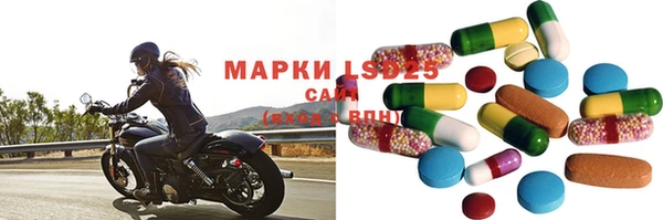прущие грибы Елабуга