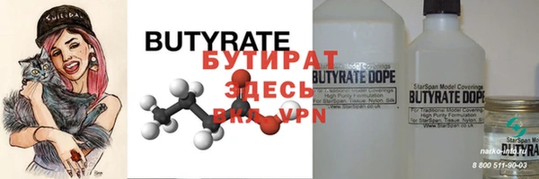 прущие грибы Елабуга