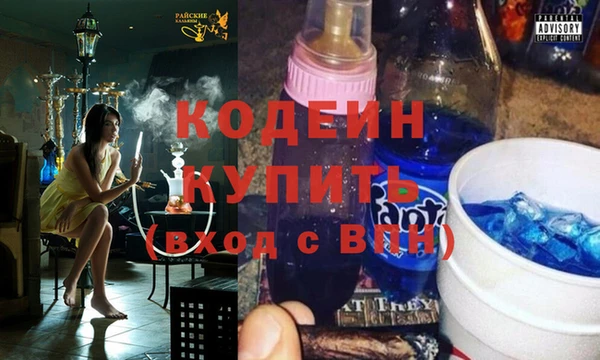 прущие грибы Елабуга