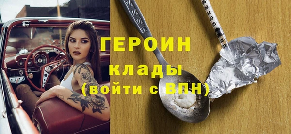прущие грибы Елабуга