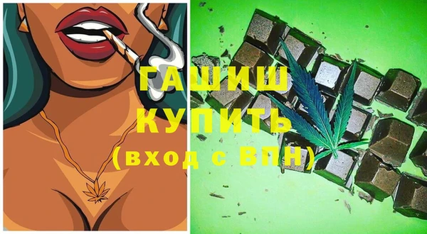 скорость Ельня