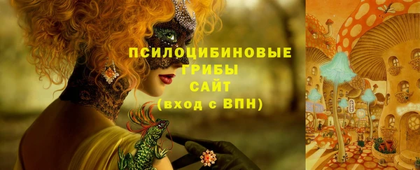 скорость Ельня