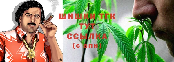 скорость Ельня