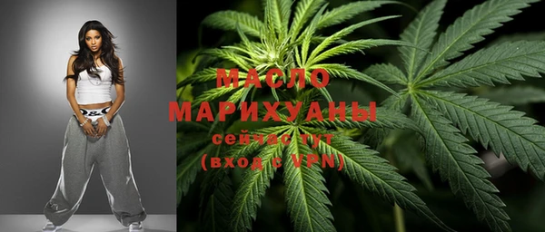 прущие грибы Елабуга