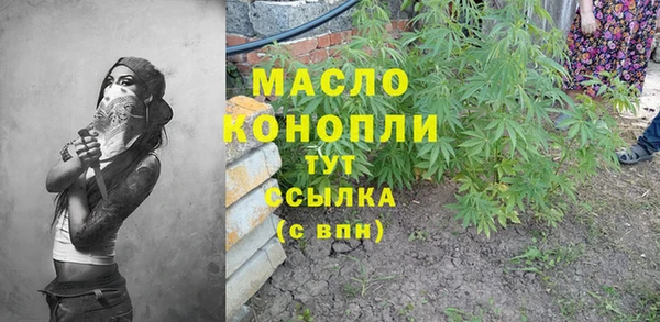 скорость Ельня