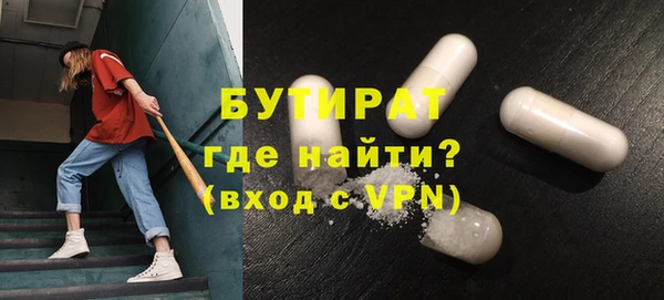 прущие грибы Елабуга
