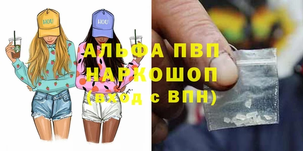 прущие грибы Елабуга