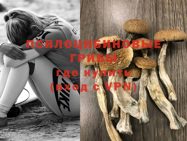 скорость Ельня