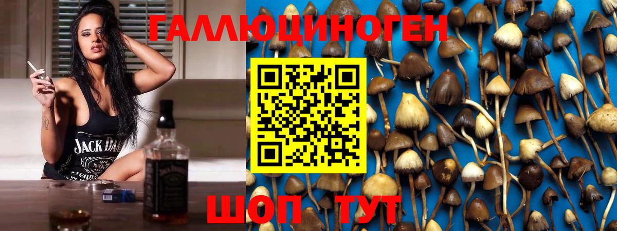 Псилоцибиновые грибы Magic Shrooms Елабуга