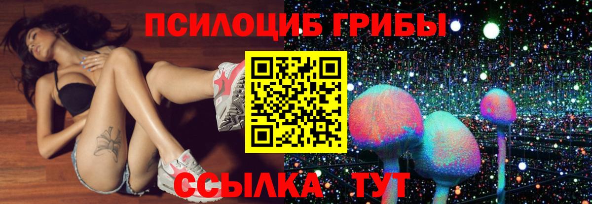 Елабуга  Галлюциногенные грибы Magic Shrooms  Вход с VPN 